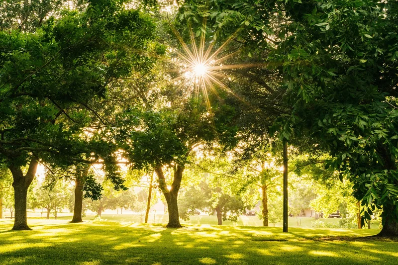 Groen, ruimte en rust in de parken bij Elzenhagen Zuid